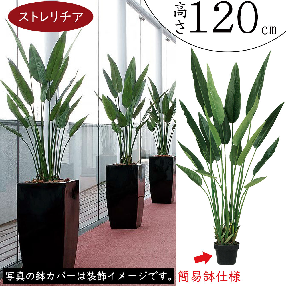 楽天市場】【フェイクグリーン】観葉植物 大型 おしゃれ ストレリチア