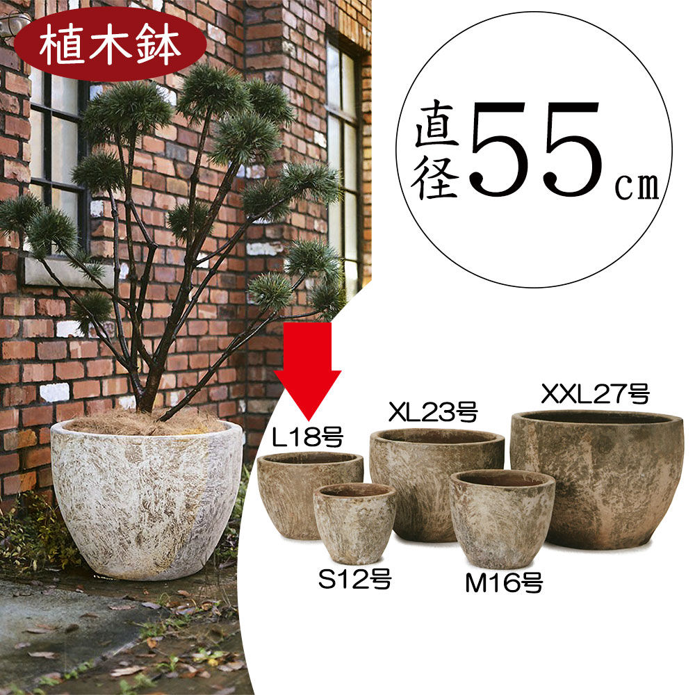 楽天市場】植木鉢 大型 おしゃれ 人気 プランター おすすめ 園芸