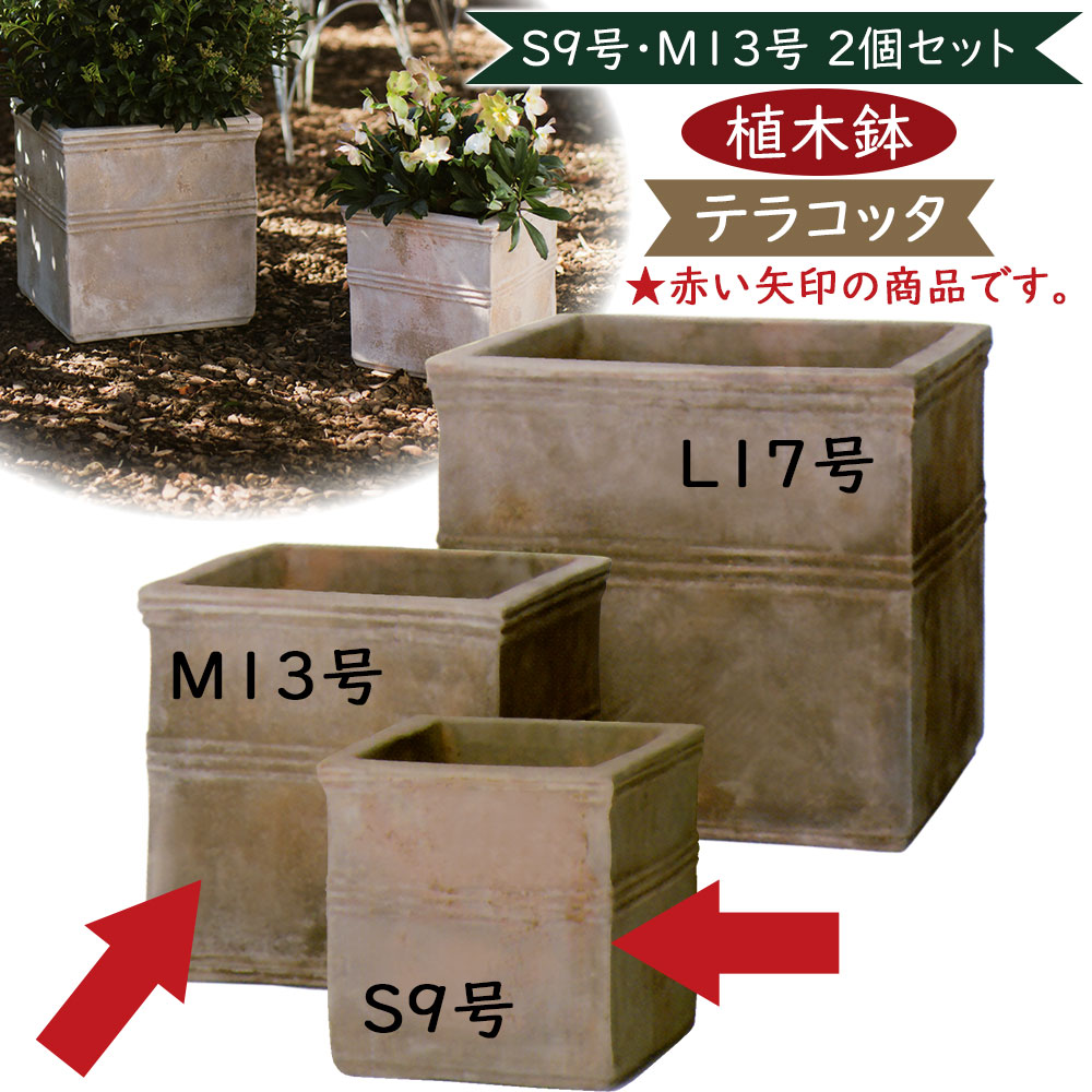 クーポン券 花・ガーデン・DIY-ガーデニング・農業