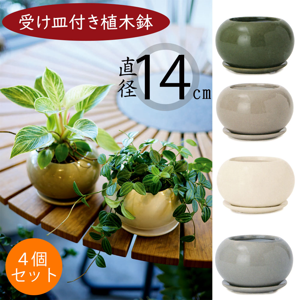 楽天市場】植木鉢 受け皿付き おしゃれ 人気 プランター ミニ観葉 観葉