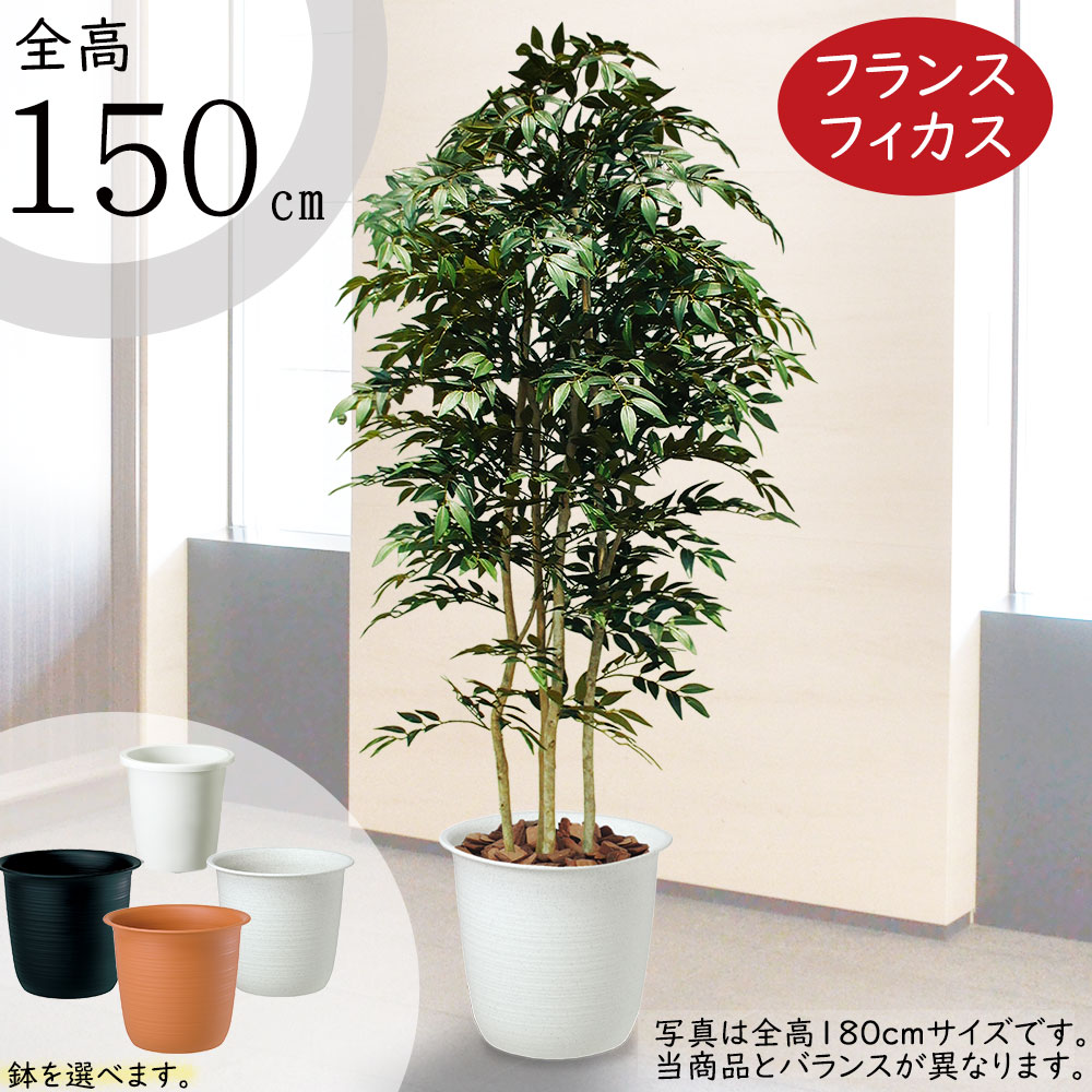 bst0002-150-z1.jpg