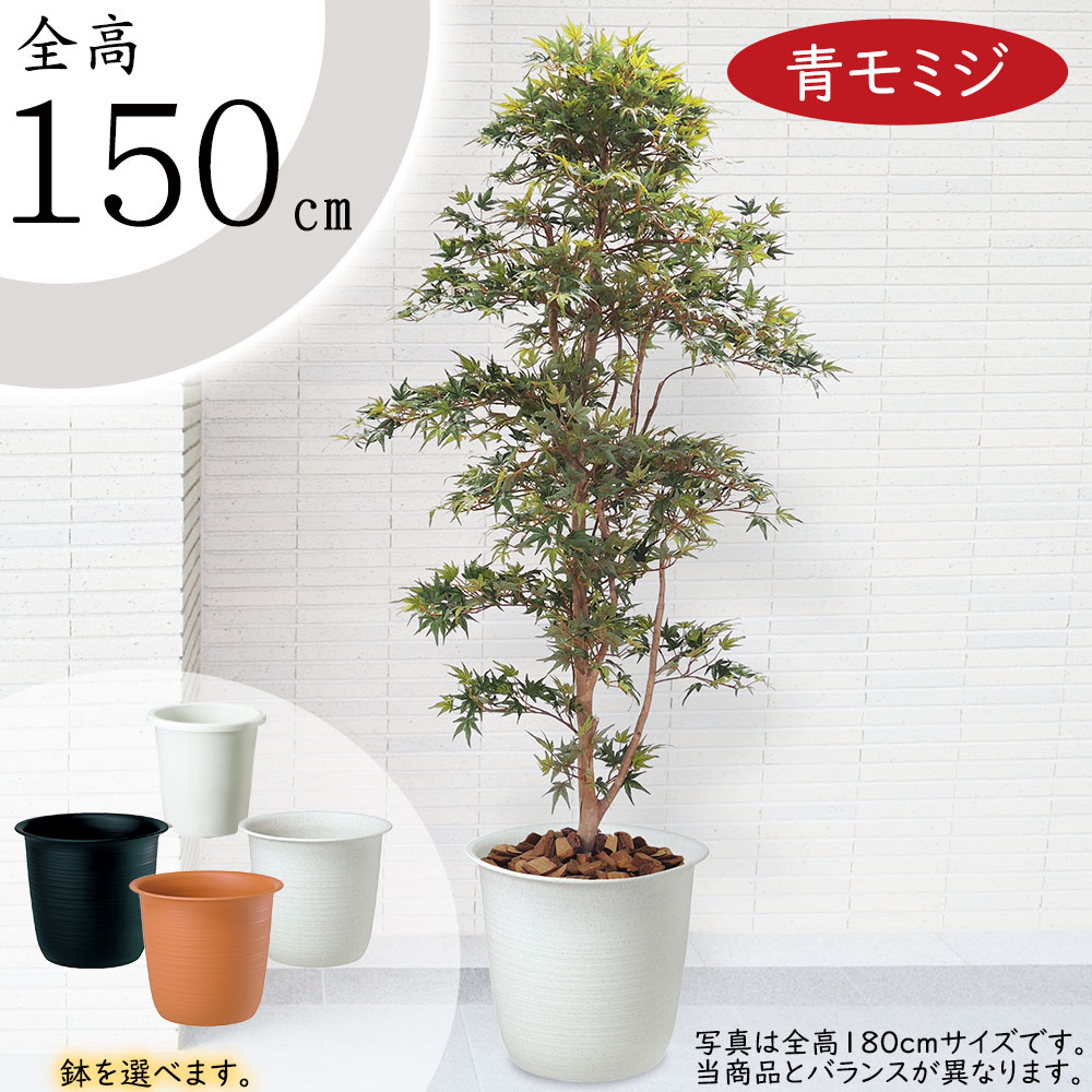 もみじ モミジ フェイクグリーン 大型 おしゃれ 人気 リアル インテリアグリーン 人工観葉植物 人工樹木 観葉植物 造花 アートグリーン アートプランツ インテリア オブジェ 家具 室内 ギフト 新築祝い お洒落 青もみじ 緑 カエデ 鉢物 鉢植え 本物そっくり 鉢付き 全高150cm 42,423円