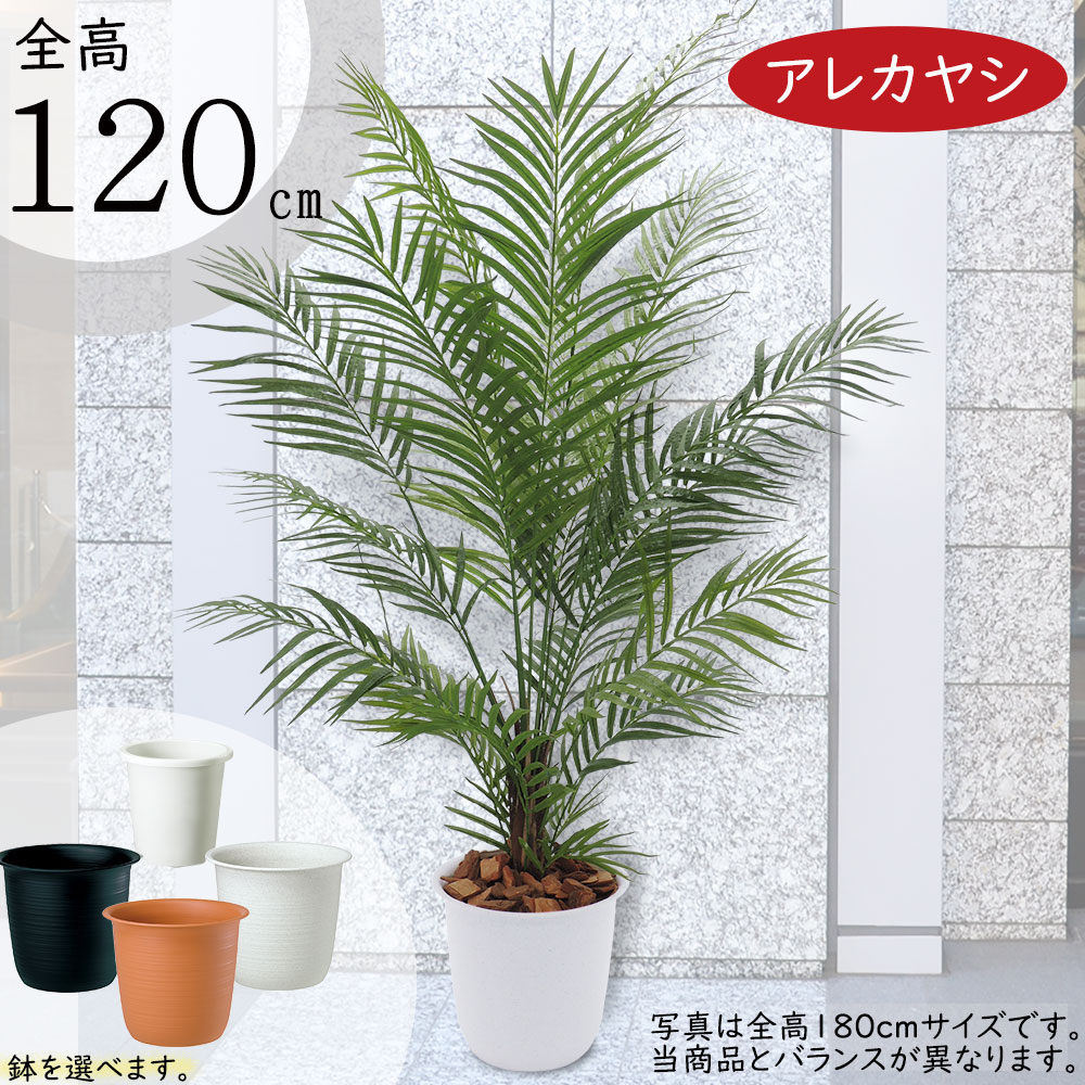 MiKe(ФωФ) 観葉植物　特大アレカヤシ　高さ２１０センチ アレカヤシ 観葉植物 大型 人気 おしゃれ インテリアグリーン フェイク