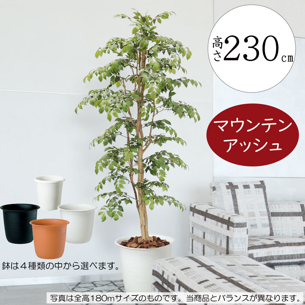 楽天市場】フェイクグリーン 大型 おしゃれ 人気 リアル インテリア