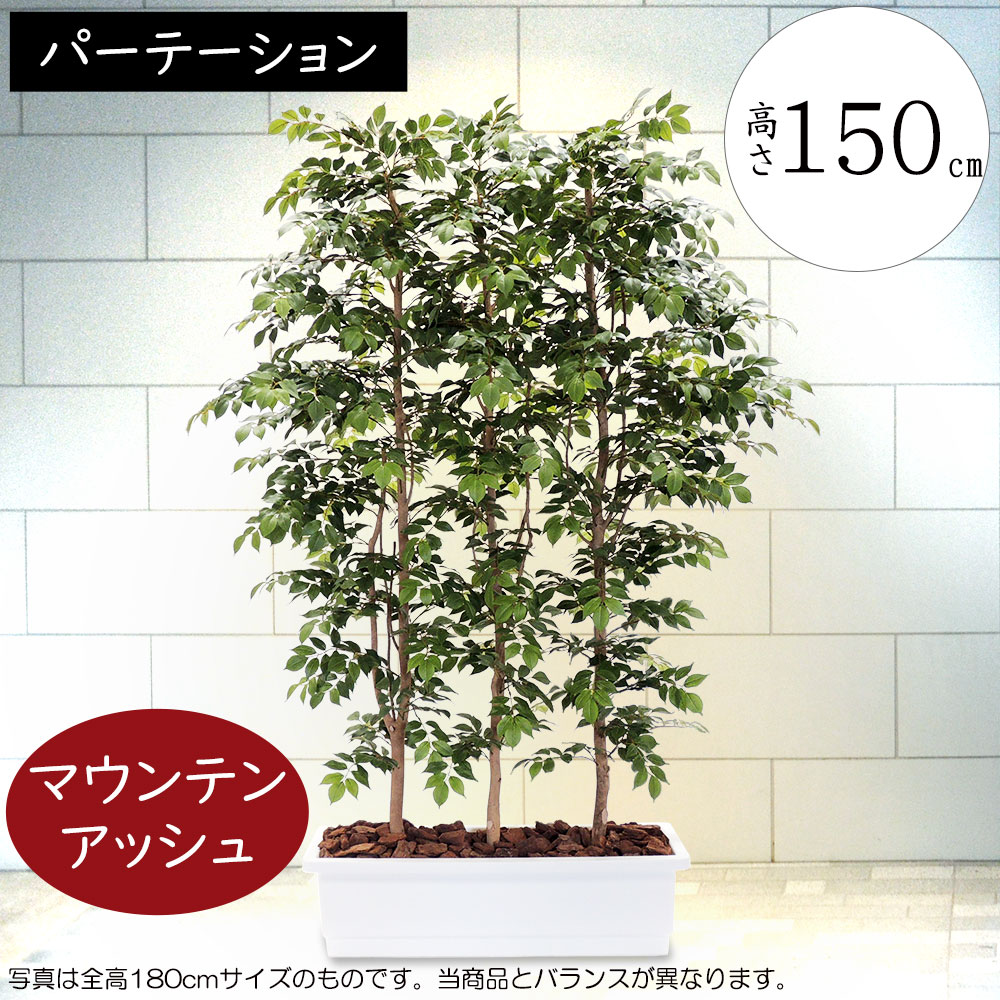 夜空 光触媒 人工観葉植物 ウォールグリーン マウンテンアッシュ1.3