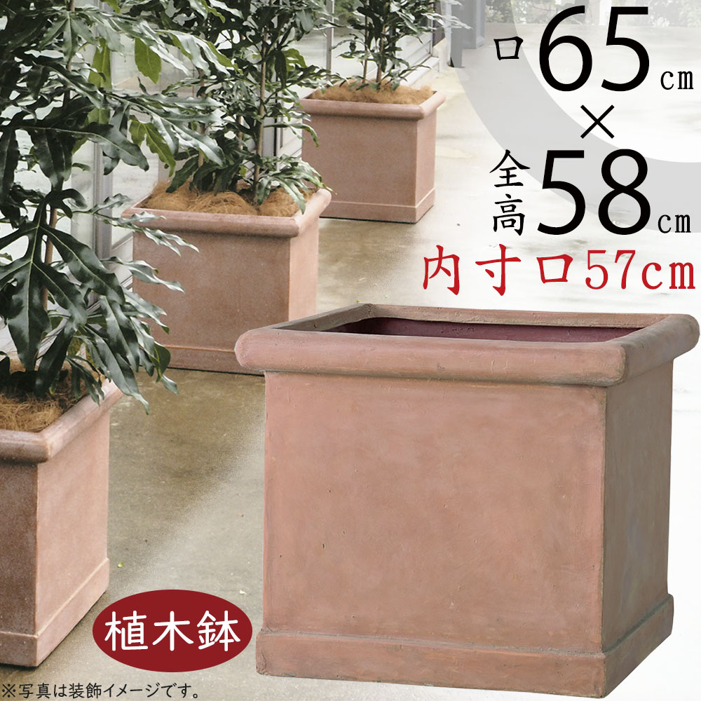 eb-18045765-z1.jpg
