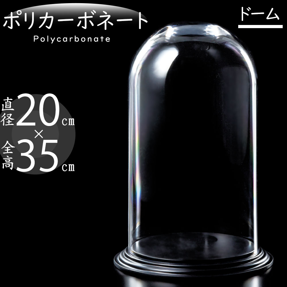 クーポン券