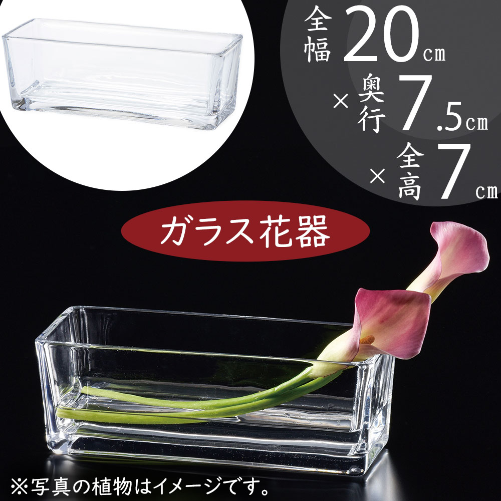 花瓶 花入れ pg-27093_1.jpg