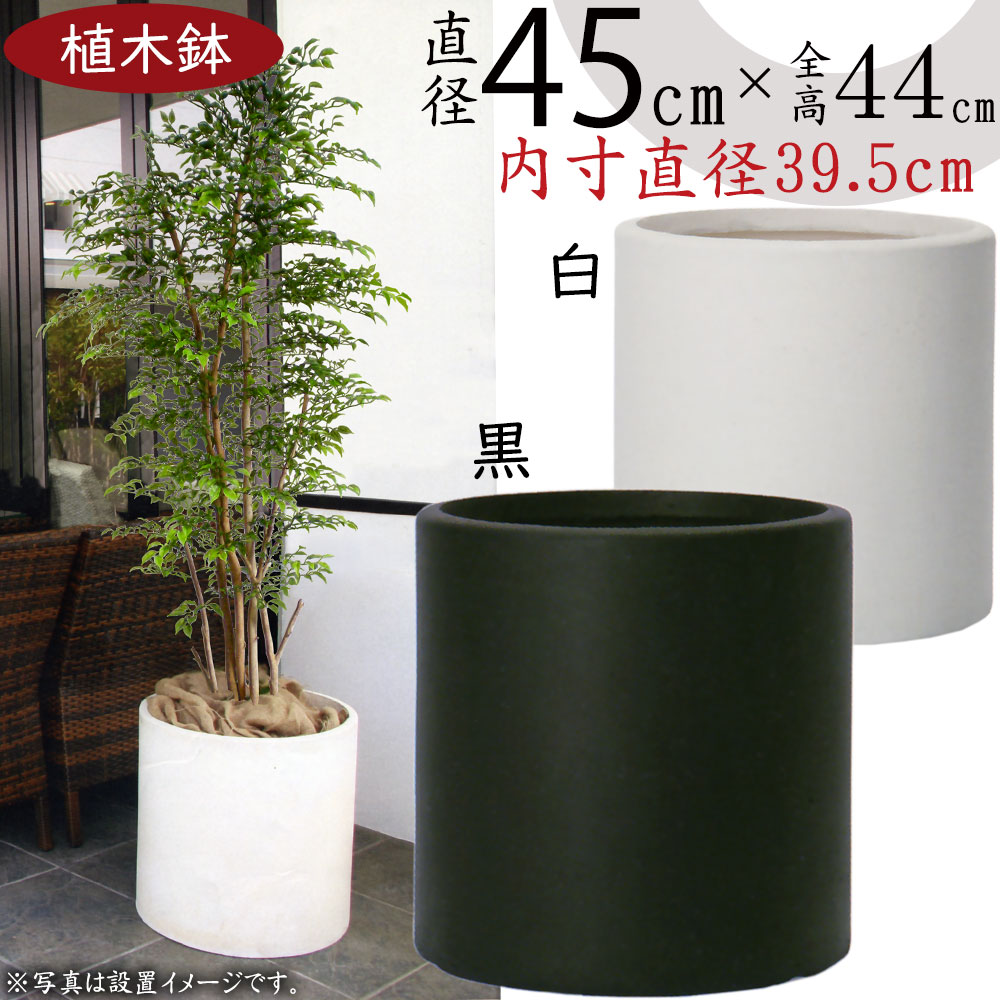 大鉢1 Amazon | 大和プラスチック 鉢・ポット りん鉢 13号 φ405×H240