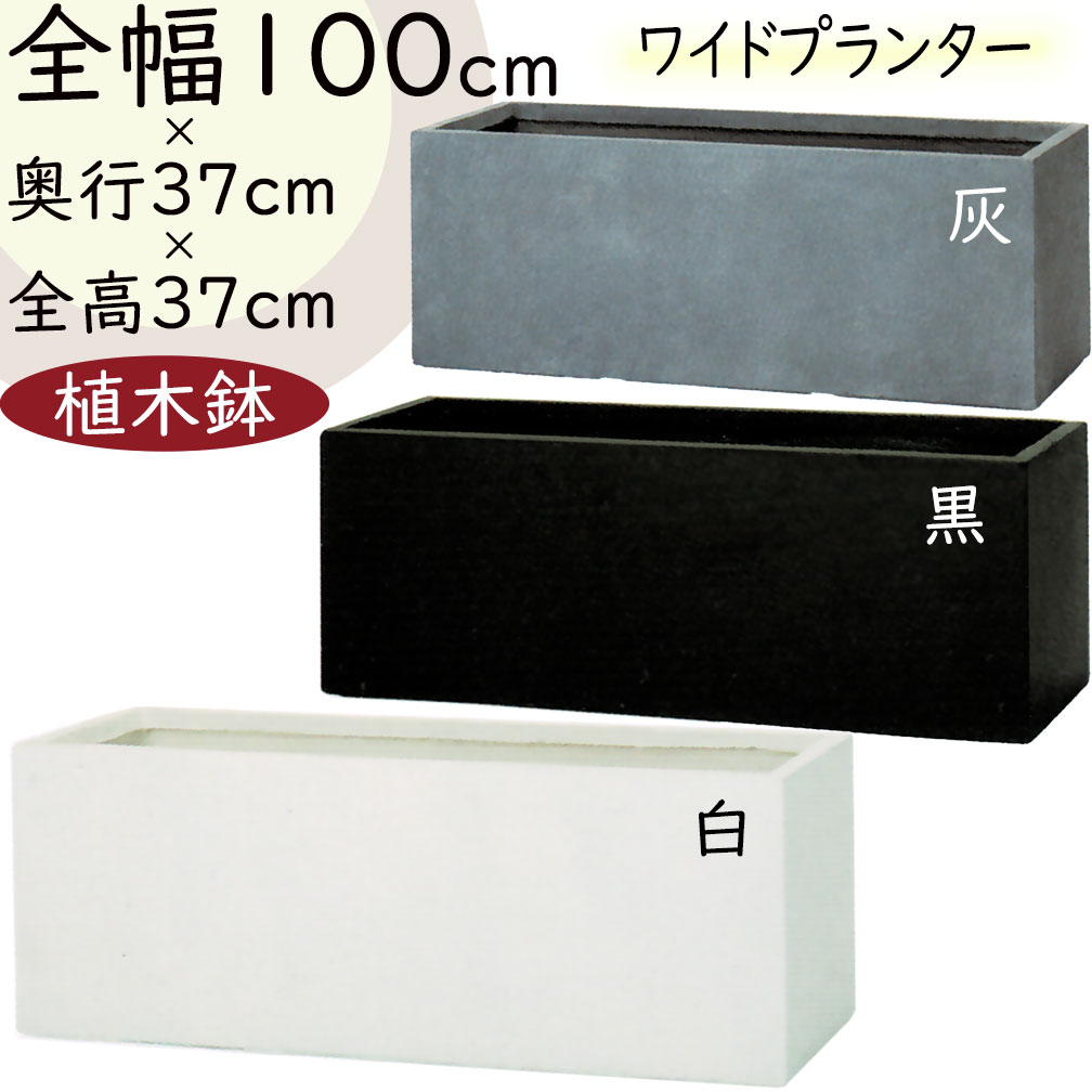 クーポン券