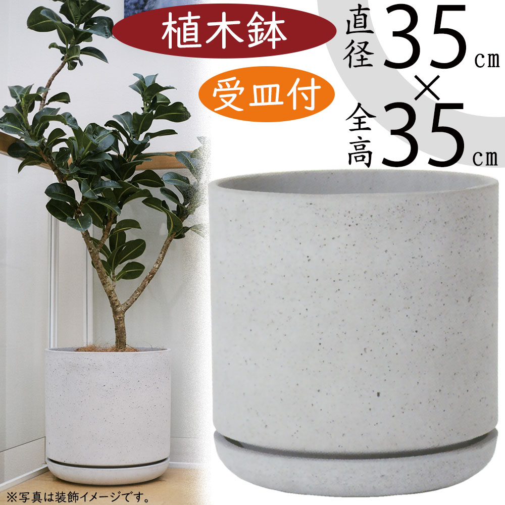 idee 大型ホワイトセメント植木鉢 （受け皿付き） 楽天市場】白セメント（植木鉢・プランター｜ガーデニング・農業