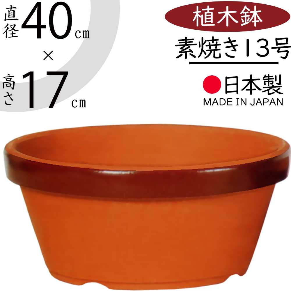 楽天市場】植木鉢 素焼き 大型 人気 おしゃれ 陶器鉢 観葉鉢 園芸鉢