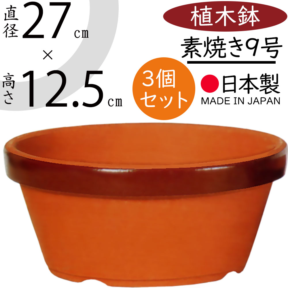 r170-19-z1.jpg