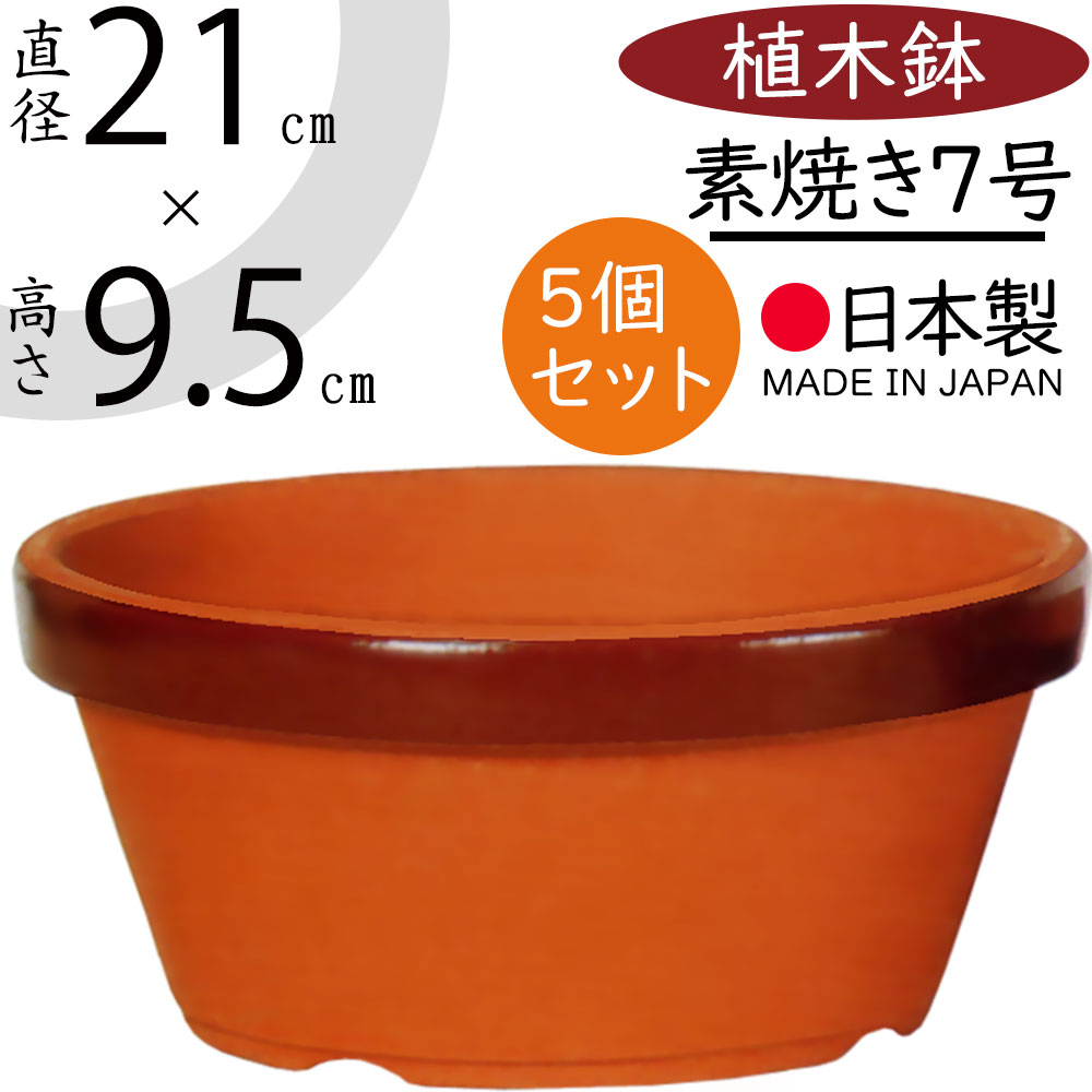 r170-21-z1.jpg