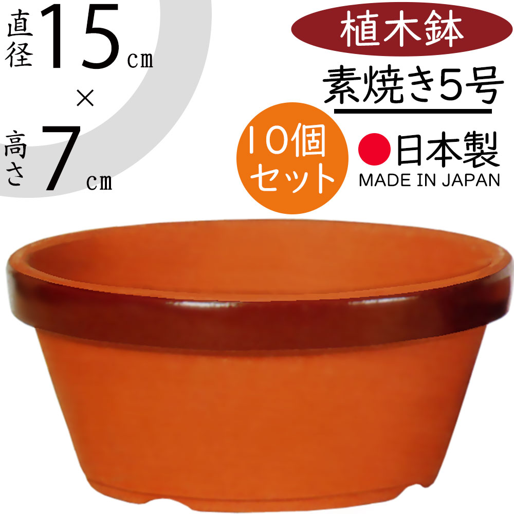 楽天市場】植木鉢 素焼き 人気 おしゃれ 陶器鉢 観葉鉢 園芸鉢