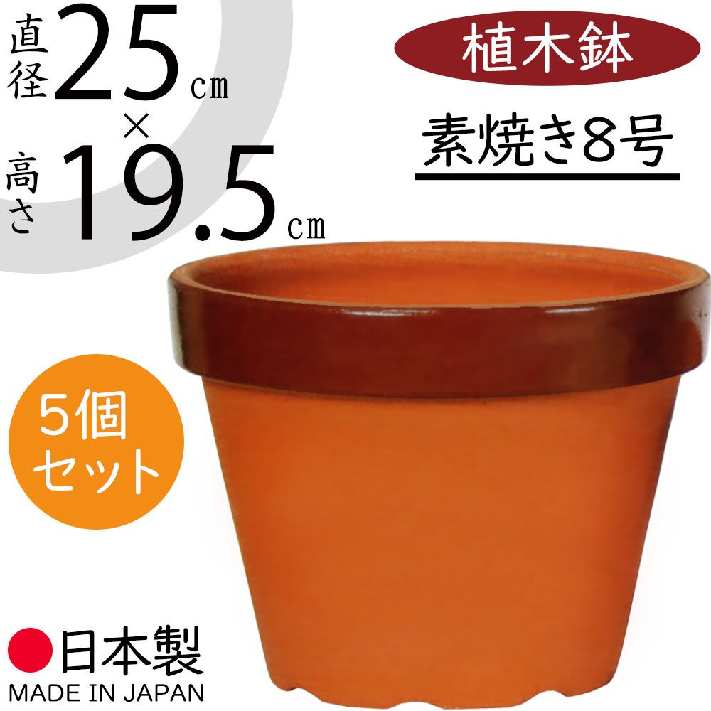 陶器　オレンジ　大きいサイズ　カワイイ　デザイン　鉢　カバー r170-7-z1.jpg