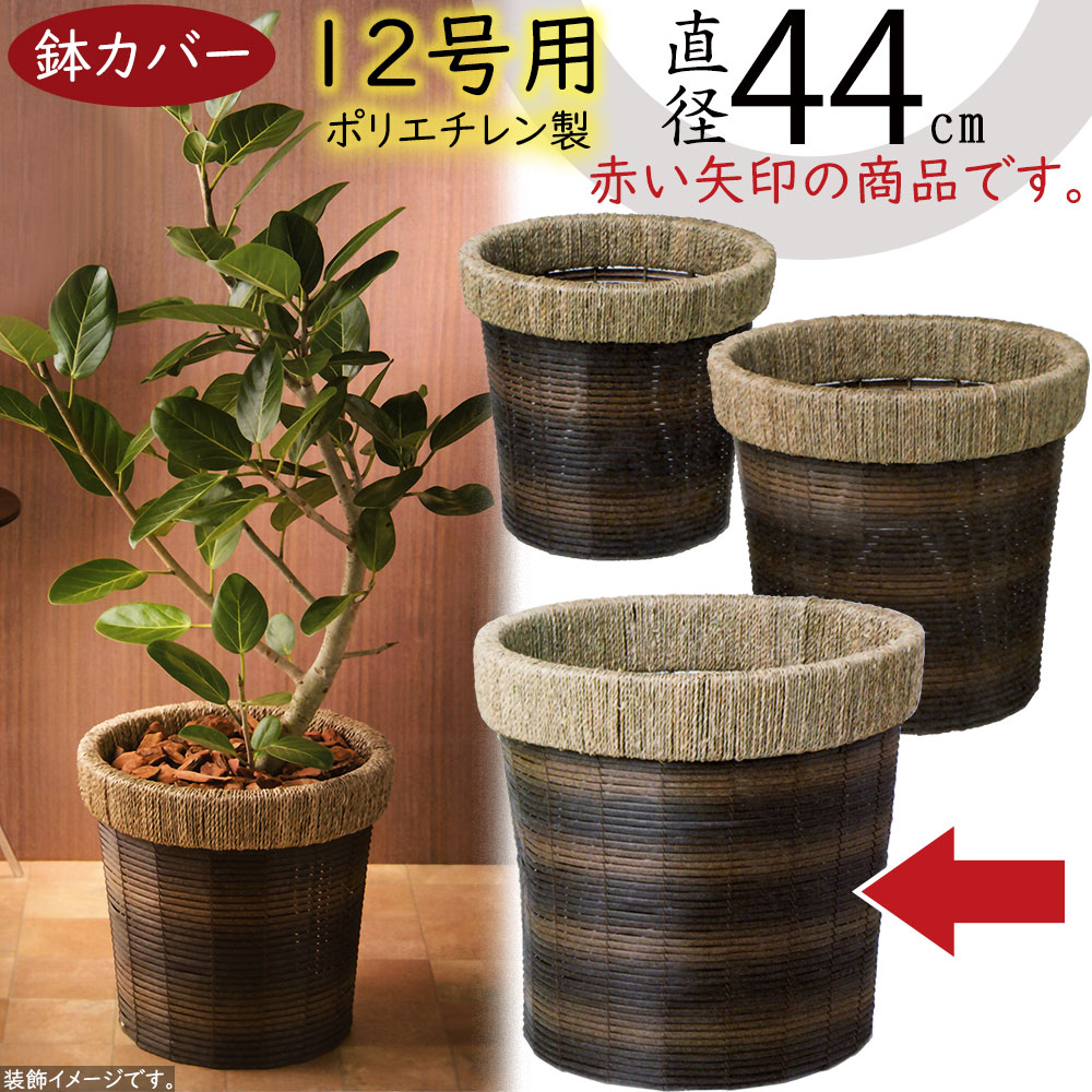 クーポン券