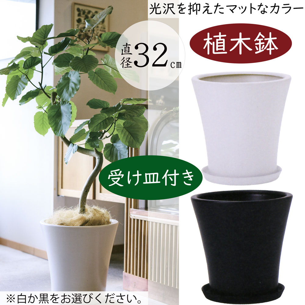 楽天市場】【植木鉢】おしゃれ プランター 受け皿付き 釉薬陶器 マット 