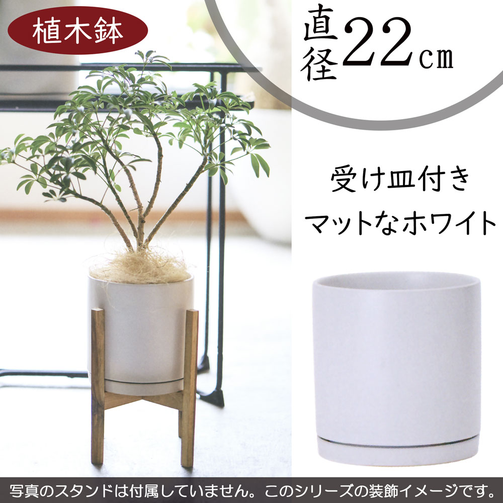 植木鉢 おしゃれ 受け皿付き 人気 プランター おすすめ ポット 器 園芸鉢 観葉鉢 白 ホワイト 観葉植物 園芸用品 緑 寄せ植え インテリアグリーン インドアグリーン シンプル 室内 お洒落 鉢カバー ソーサー インテリア 卓上サイズ テーブルサイズ モダン マット釉 CR1 7号