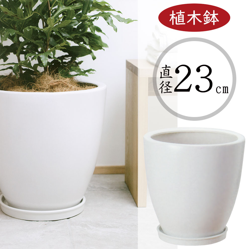 楽天市場】植木鉢 大型 おしゃれ 受け皿付き 人気 プランター おすすめ ポット 器 園芸鉢 観葉鉢 白 ホワイト 観葉植物 寄せ植え 緑  ガーデニング インテリアグリーン インドアグリーン シンプル お洒落 鉢カバー ソーサー インテリア 園芸用品 モダン 清潔感 上質 マット ...