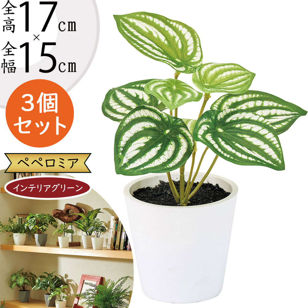 フェイクグリーンオブジェ & ベンチ型オブジェ オーダー受付 ♪ ウェルカム 楽天市場】フェイクグリーン おしゃれ 人気 インテリアグリーン