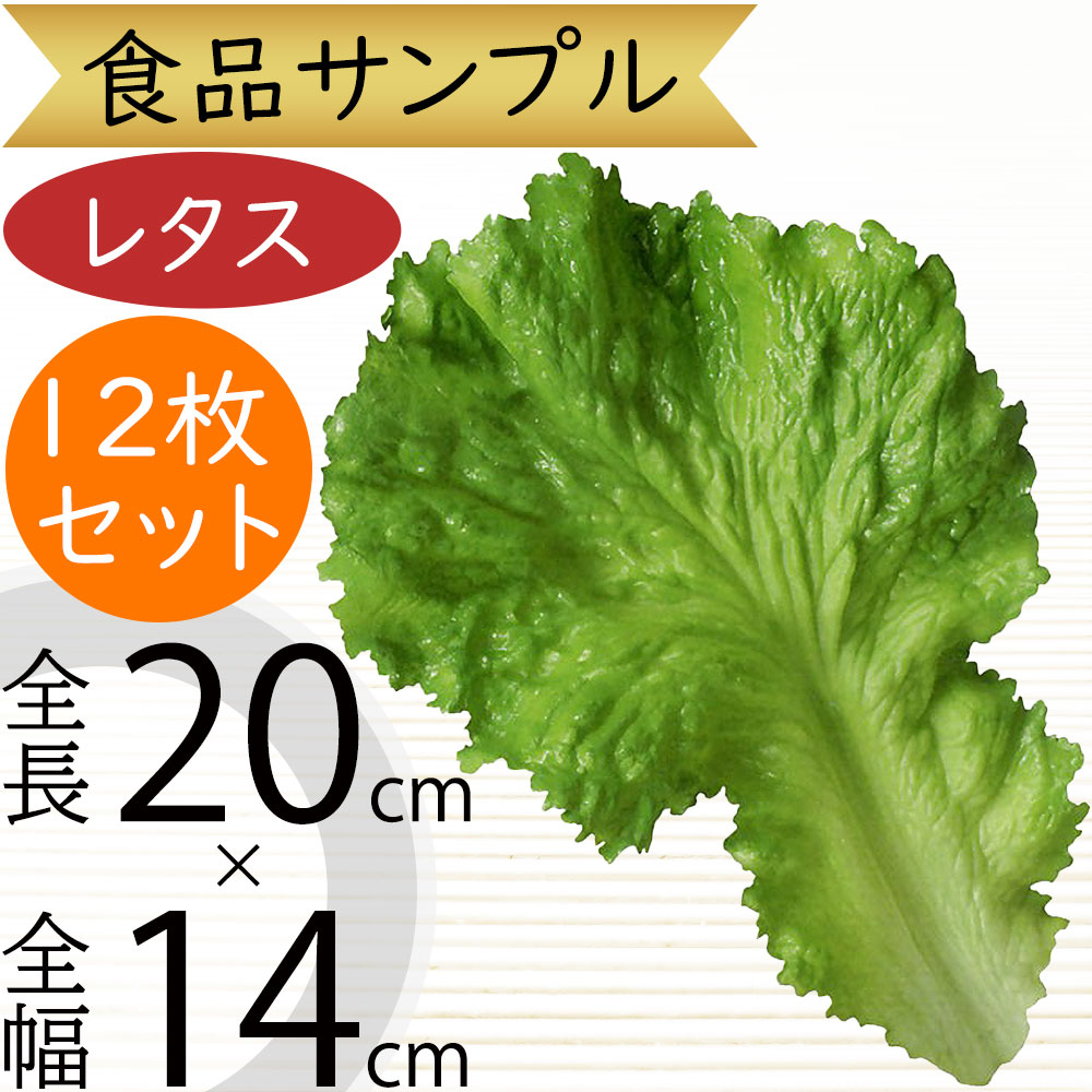 楽天市場】食品サンプル サニーレタス リアル 人気 リーフレタス
