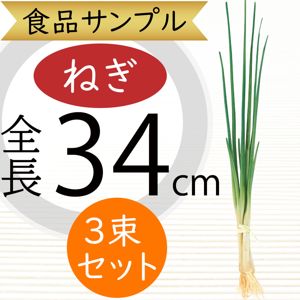 楽天市場】食品サンプル 玉ねぎ リアル 人気 たまねぎ タマネギ 玉葱