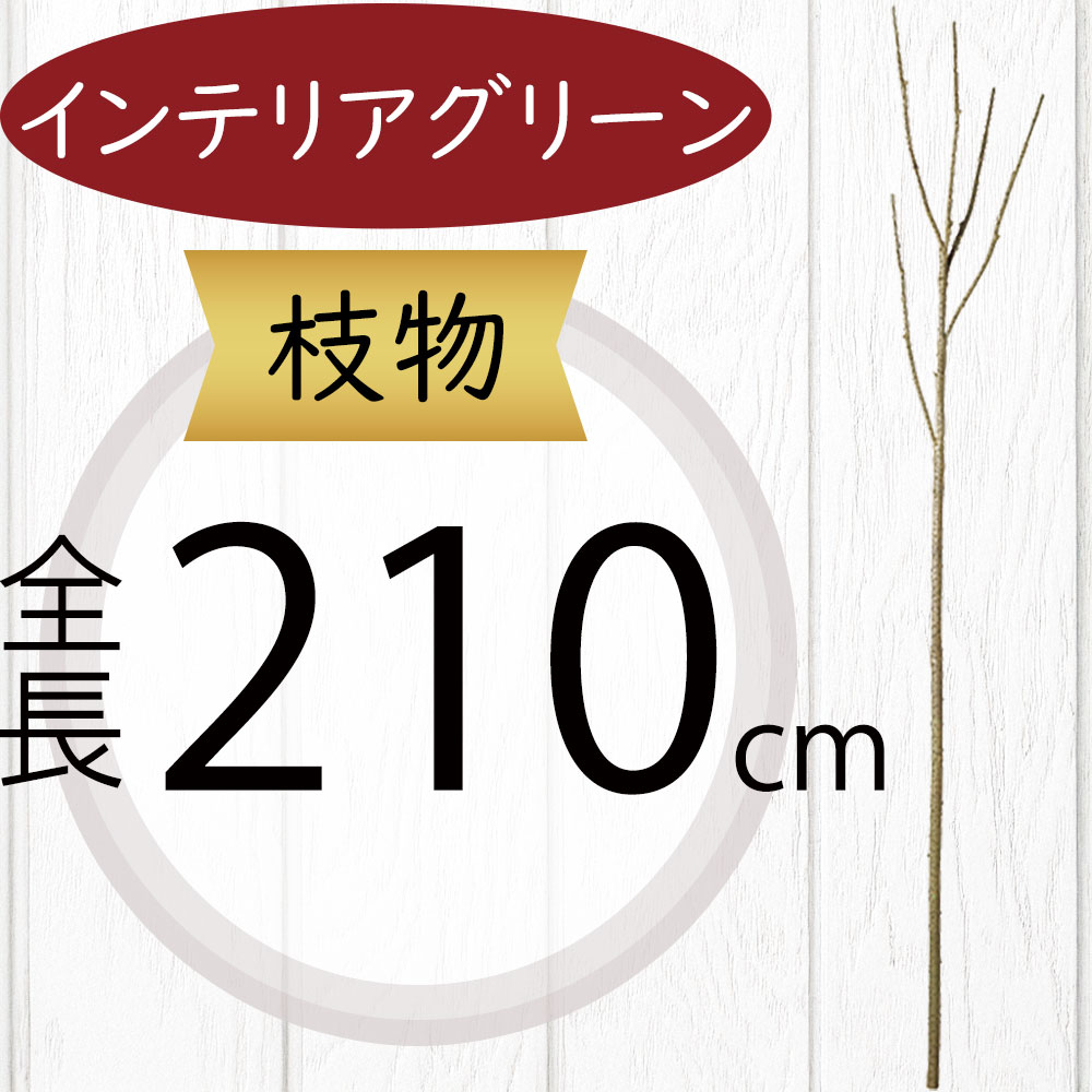 楽天市場】枝もの 枝物 大型 フェイクグリーン おしゃれ 人気