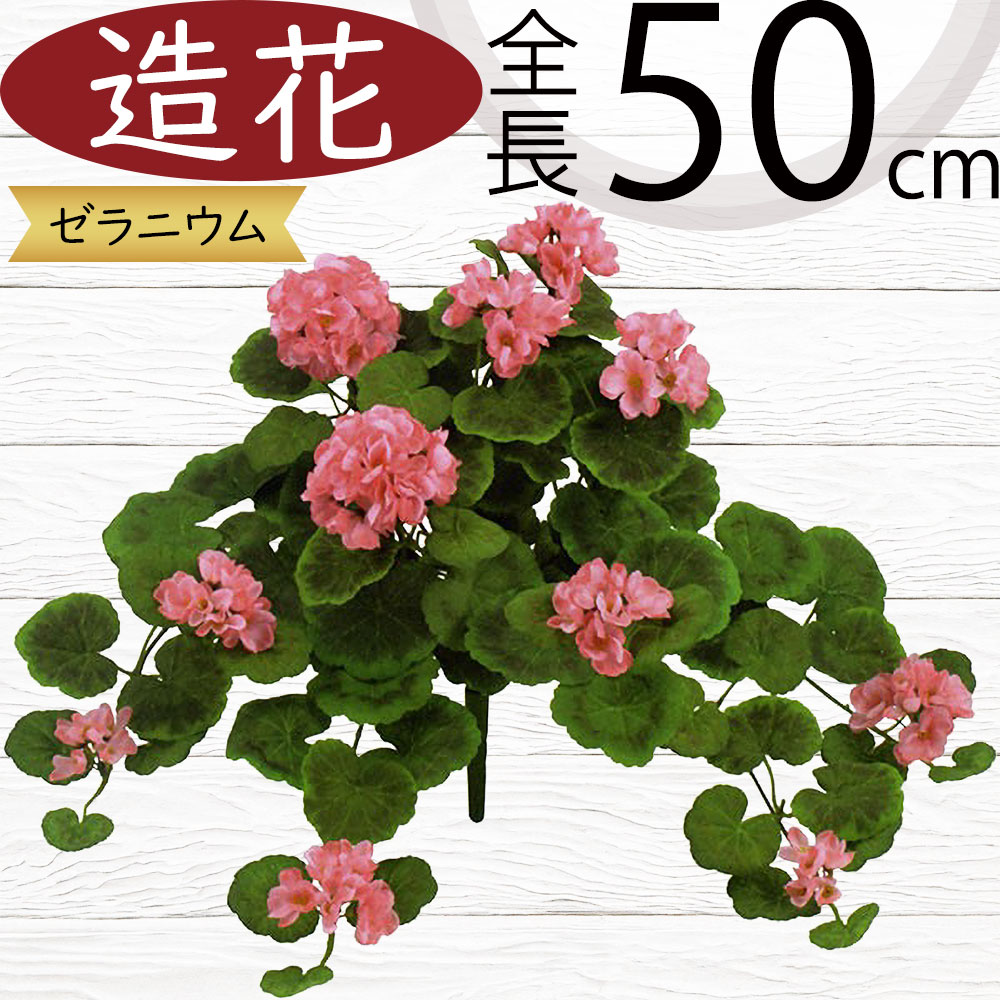 お得意　ゼラニューム　レアなお色目。真紅。 お得意様専用 ゼラニューム レアなお色目。真紅。 【公式通販】