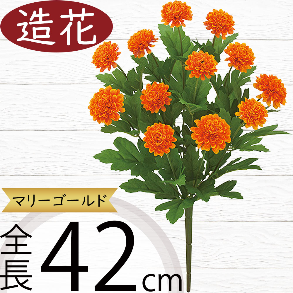 マリーゴールド Marigold マリーゴールド on X