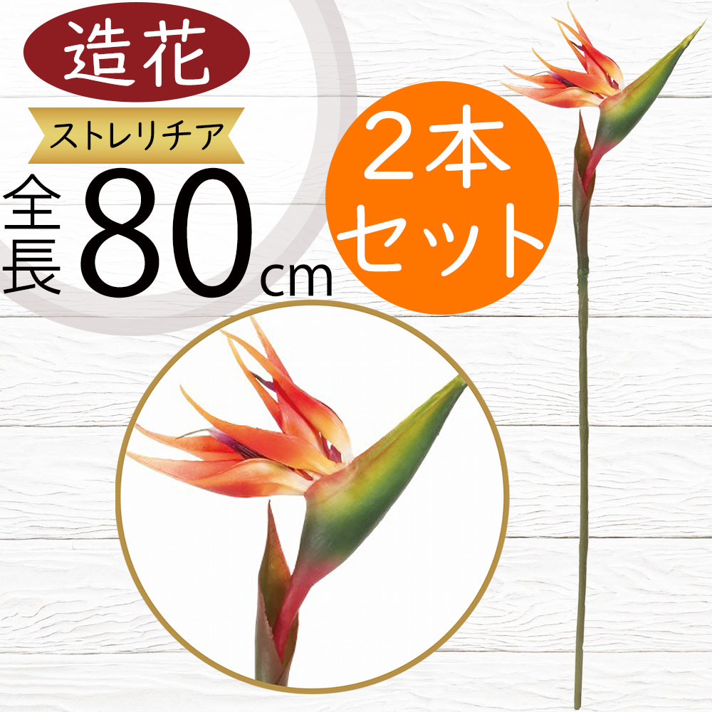 792【激レア・廃盤・貴重・希少】縁起物♪極楽鳥花 ストレリチア