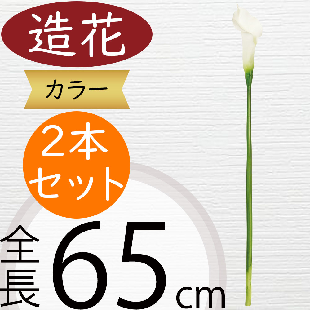 ゴージャス❗造花  インテリア 楽天市場】人感センサー付き LEDライト MASSA＆ARTIST ブック