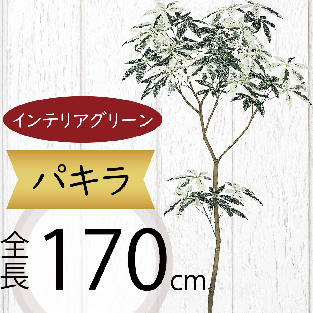 楽天市場】パキラ フェイクグリーン 大型 観葉植物 人気 おしゃれ