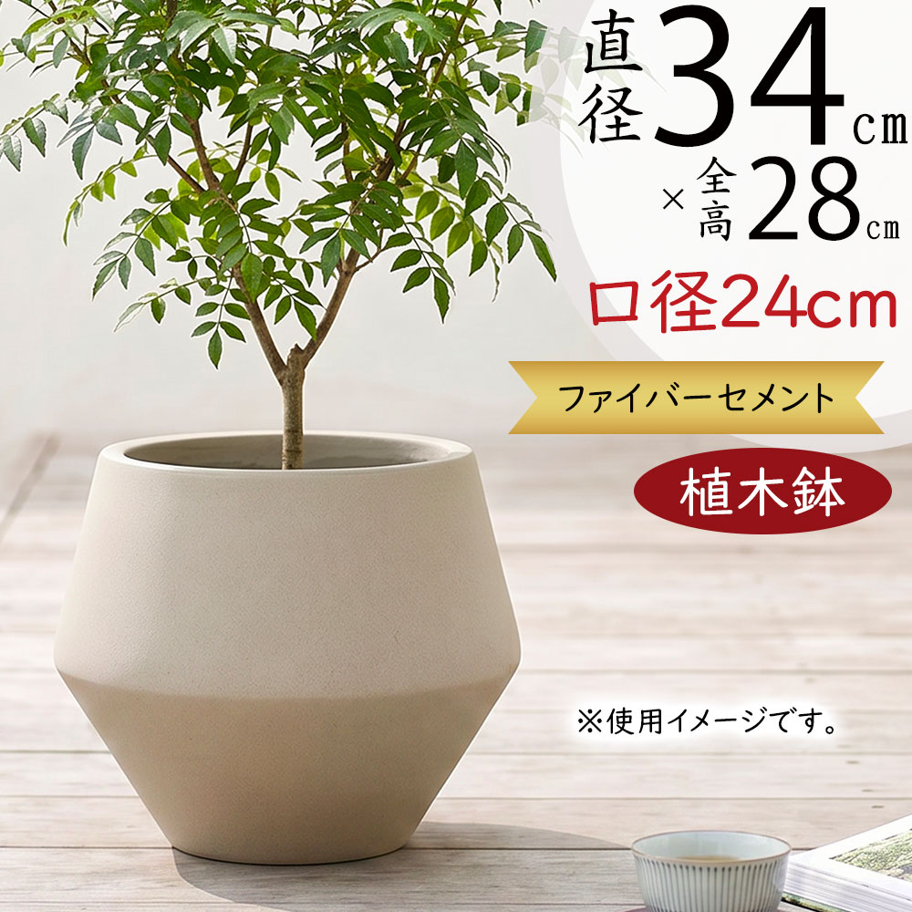 クーポン券
