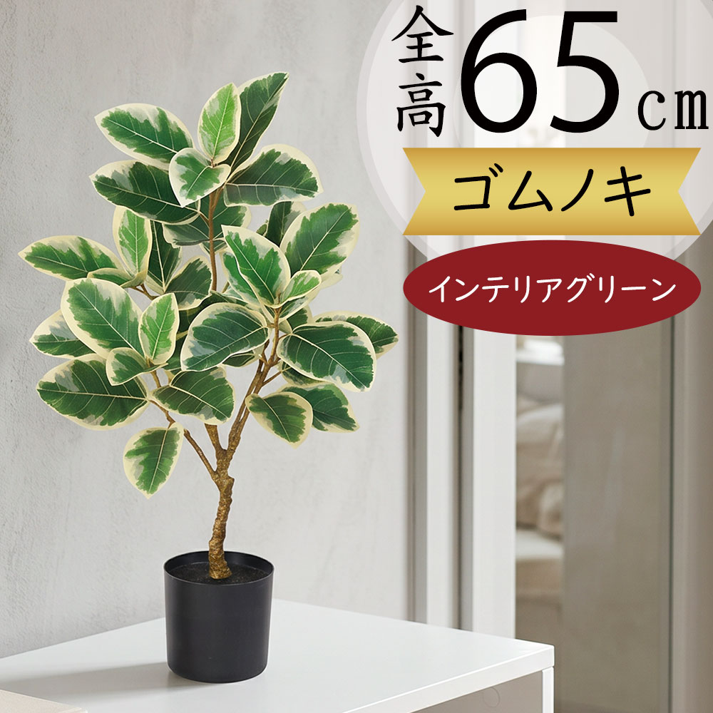 クーポン券