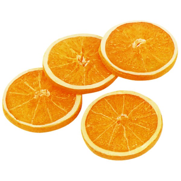 楽天市場 食品サンプル オレンジ スライス 直径7 5cm 8枚セット 1袋4枚 2袋 アマダイダイ アランチャ 果物 フルーツ フェイクフード 食品模型 オブジェ グリーンランド