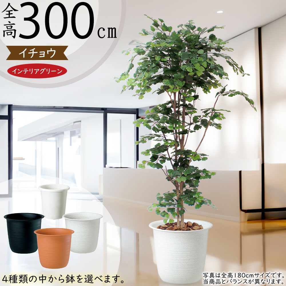 旅人の木 観葉植物 高さ110cm グリーン 事務所 カフェ インテリアグリーン 旅人の木 観葉植物 高さ110cm グリーン 事務所 カフェ