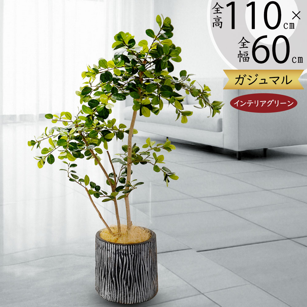 ガジュマル カジュマル フェイクグリーン 観葉植物 人気 リアル おすすめ インテリアグリーン 人工観葉植物 造花 人工樹木 緑 インテリア アートグリーン アートプランツ オブジェ ギフト 新築祝い 開店祝い お洒落 鉢付き 高品質 高級感 本物そっくり ナチュラル 全高110cm