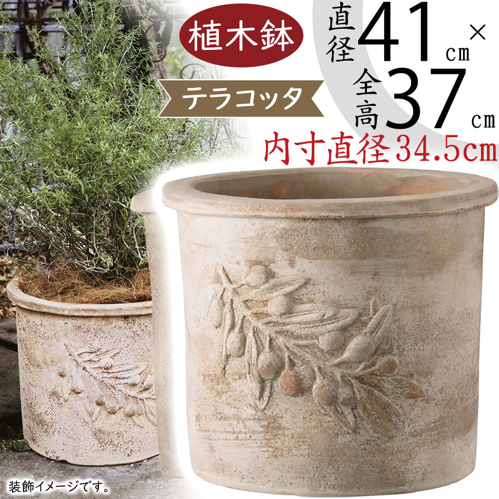 浅型テラコッタ 大きめ 丸鉢 ガーデニング 寄せ植え 植木鉢 鉢