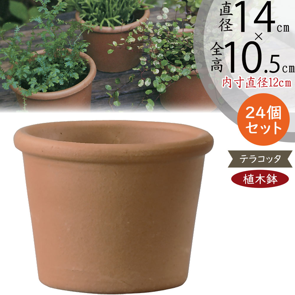 楽天市場】テラコッタ 植木鉢 おしゃれ 人気 プランター