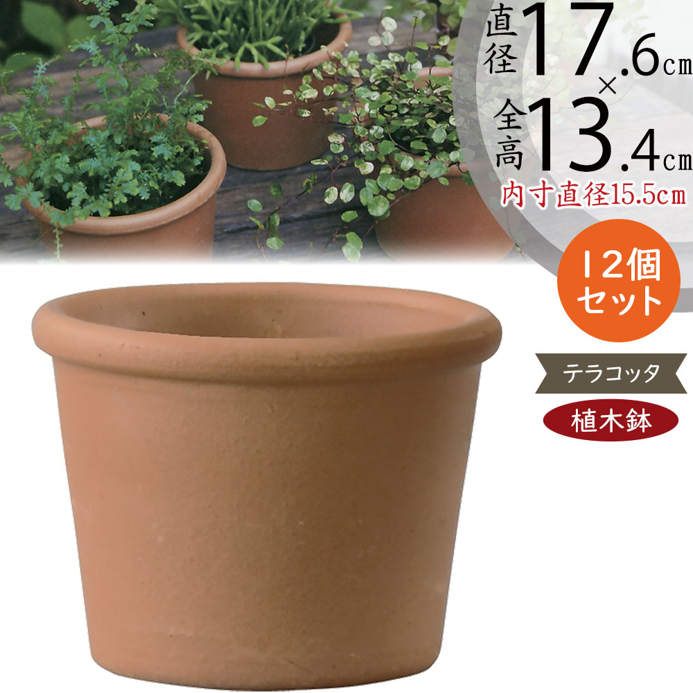 楽天市場】テラコッタ 植木鉢 おしゃれ 人気 プランター おすすめ 観葉