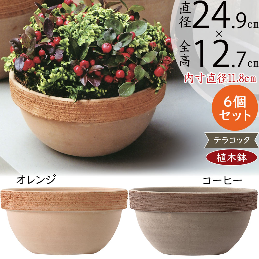 テラコッタ 植木鉢 おしゃれ 人気 プランター おすすめ 観葉植物 素焼き 園芸鉢 観葉鉢 陶器鉢 浅鉢 浅型 浅い ボール ボウル ポット ガーデニング 園芸用品 寄せ植え 緑 インテリア お庭 テラス バルコニー ベランダ 鉢カバー お洒落 ジオボール スクラッチM 8号 6個セット 11,233円