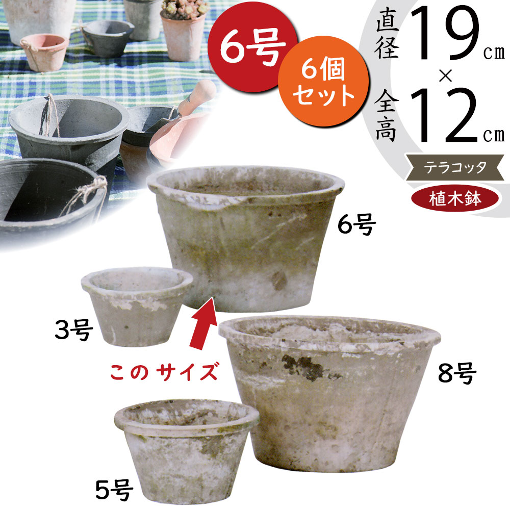 楽天市場】テラコッタ 植木鉢 おしゃれ 人気 プランター
