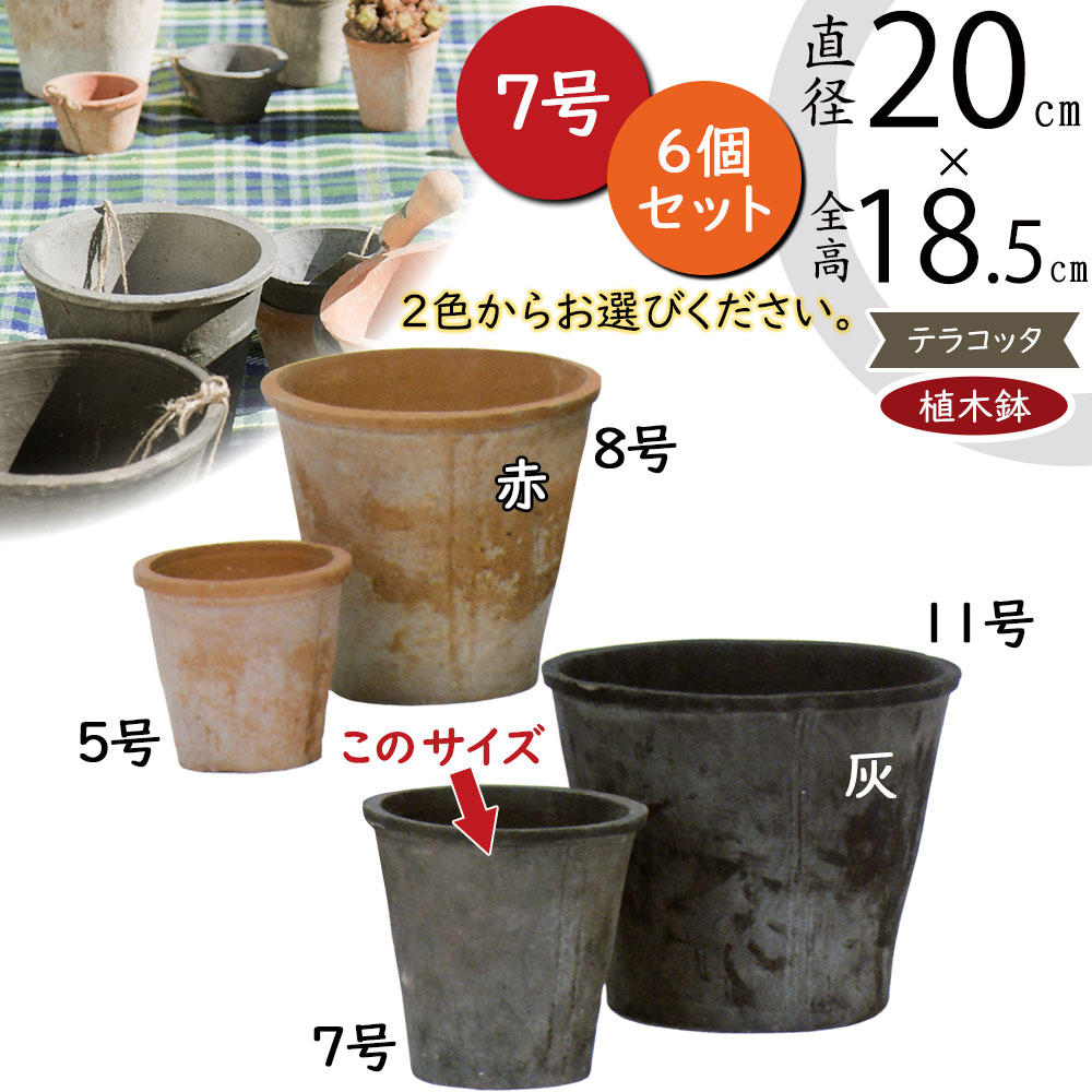 楽天市場】テラコッタ 植木鉢 小型 おしゃれ 人気 プランター