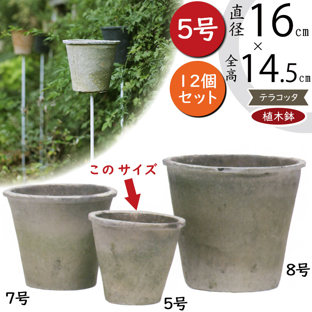 楽天市場】テラコッタ 植木鉢 おしゃれ 人気 プランター