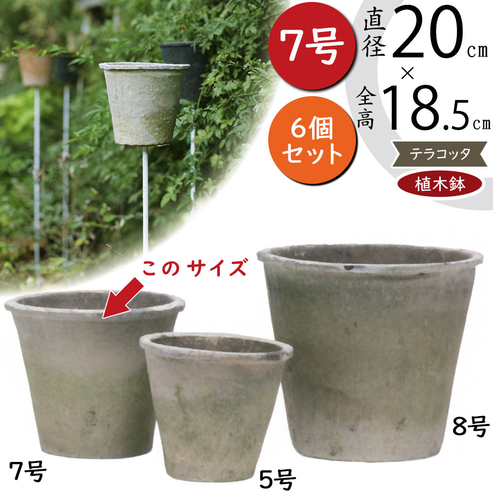 セット　グリーンポット　テラコッタ　鉢　6号　8号　10号　鉢カバー　白 テラコッタ植木鉢 3鉢セット 10号 8号 6号 底穴あり イー