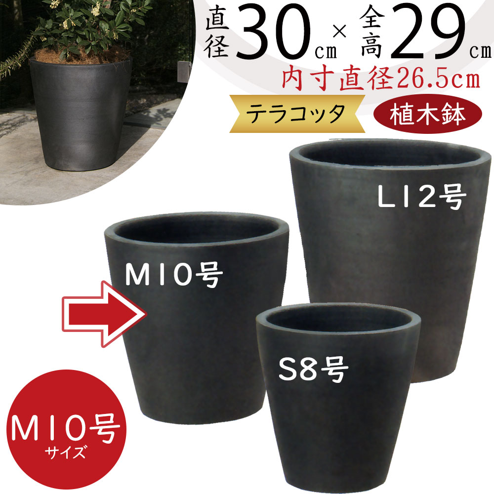 t2-204h10e-z.jpg