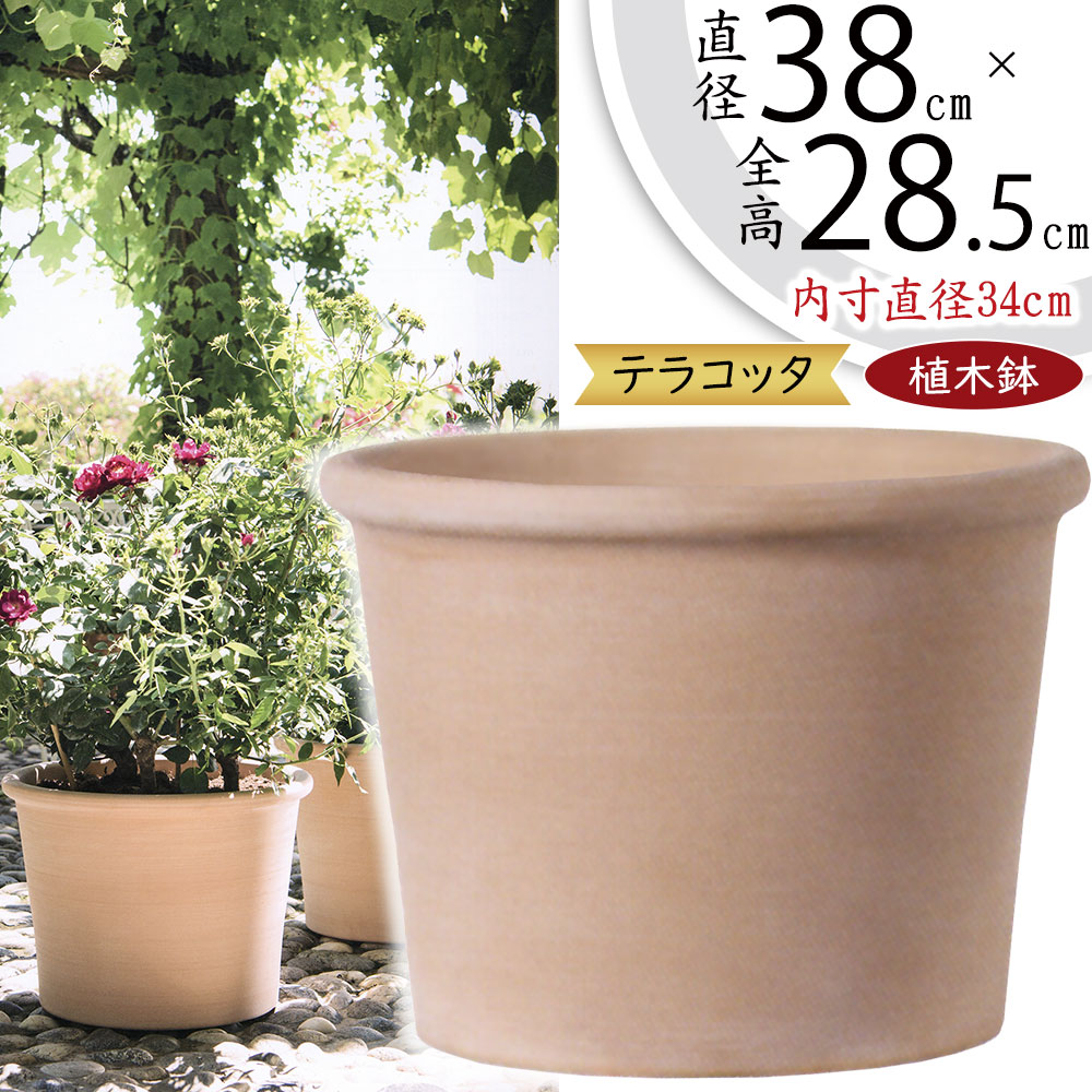 楽天市場】植木鉢 大型 テラコッタ おしゃれ 人気 プランター おすすめ
