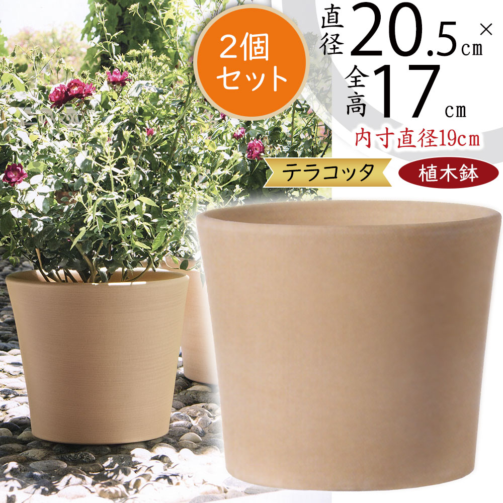 楽天市場】植木鉢 テラコッタ おしゃれ 人気 プランター おすすめ 6号