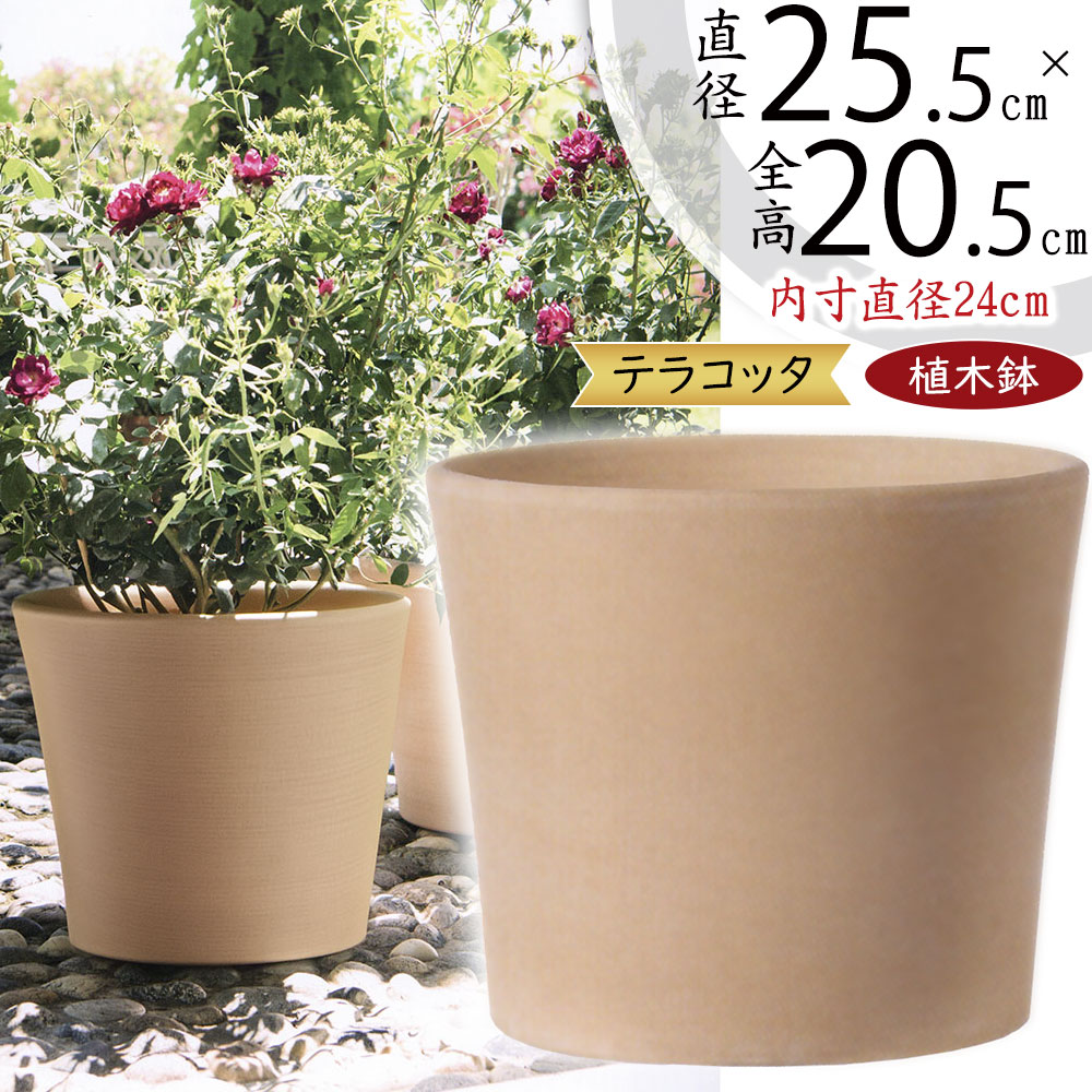 楽天市場】植木鉢 テラコッタ おしゃれ 人気 プランター